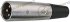 XLR Connector