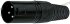 XLR Connector