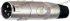 XLR Connector