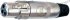 XLR Connector