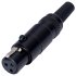 mini XLR Connector